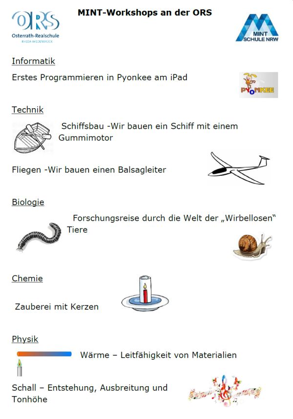 MINT-Grundschultage an der ORS in neuem Gewand